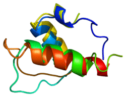Protein TMPO PDB 1gjj.png