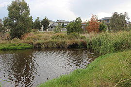 Franklin wetlands 1.JPG