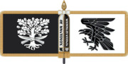Banner of the 93rd Mechanized Brigade