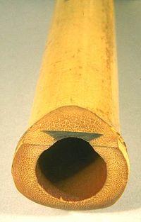 JapaneseShakuhachiSection.jpg