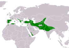 Gyps fulvus distribution map.png