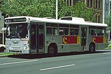 Man adelaide sst.jpg