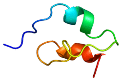 Protein NOTCH1 PDB 1pb5.png