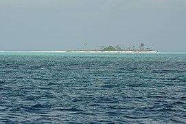 Tubbataha Reefs Natural Park-112043.jpg