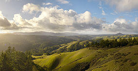 Looking north from Barnabe Fire Road in Samuel P Taylor Park.jpg