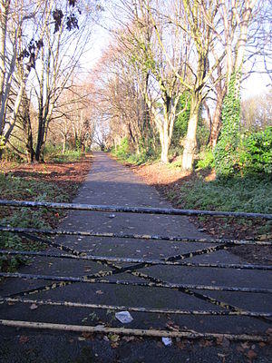 Liverpool Loop Line at Well Lane, Childwall (2).JPG