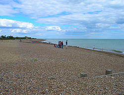 Ferring Beach - geograph.org.uk - 892871.jpg