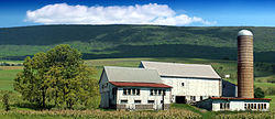 a farm in the township