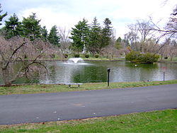 LexingtonCemetery.JPG