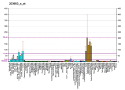 PBB GE COIL 203653 s at fs.png
