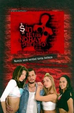 Sin tetas no hay paraíso.jpg