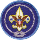 International Activity Patch.png