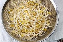 Kongnamul (soybean sprout) 2.jpg