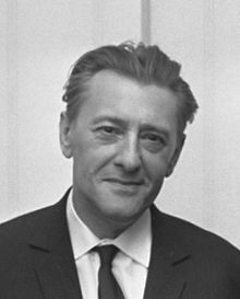 Louis Paul Boon (1967) (cropped).jpg