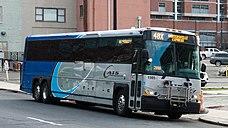 CATS1505D4500.jpg