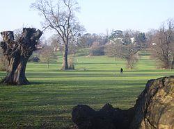 Old trees in Prospect Park - geograph.org.uk - 648054.jpg