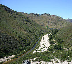 Olifants River (Western Cape).jpg