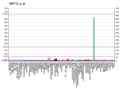 PBB GE COMP 205713 s at fs.png