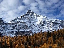 Deltaform Mountain above larch.jpg
