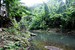 Molawin River Behind SU.JPG