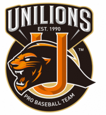 Lions Logo.png
