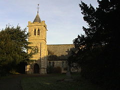 Martin - geograph.org.uk - 90898.jpg