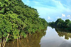 The Kolong River of Nagaon