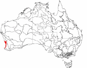 IBRA 6.1 Swan Coastal Plain.png