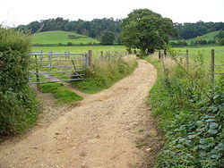 Downs Link Footpath.jpg
