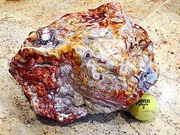 Mexican Crazy Lace Agate - World's Best.jpg