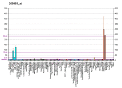 PBB GE ABCB1 209993 at fs.png