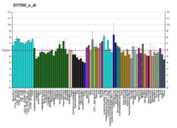 PBB GE CHM 207099 s at fs.png