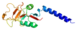 Protein MBL2 PDB 1hup.png