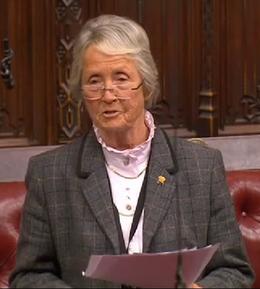 Baroness Heyhoe Flint 2015.png