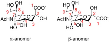 Neuraminic acid anomeric configuration