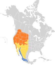 Passerina amoena map.svg