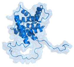 BID protein 2bid.png