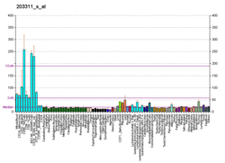 PBB GE ARF6 203311 s at fs.png