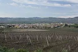 Panorama di Gibellina Nuova.JPG