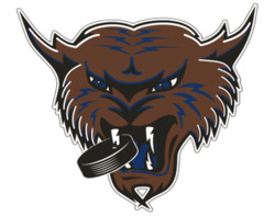 Thunder Bay Thunder Cats Primary 1994.png