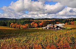 Trisaetum Winery.jpg