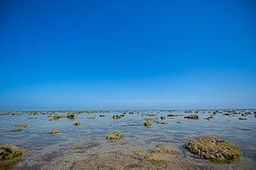 The Vast Expanse of Narara Sea Bed during Low Tide of Narara Marine National Park.jpg