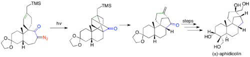 Synthesis of (±)-aphidicolin