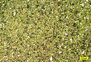 Green Sand