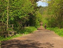 Bridleway in Joyden's Wood - geograph.org.uk - 1279377.jpg