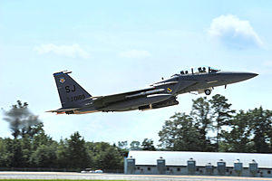 334th Fighter Squadron - F-15E Eagle.jpg