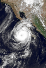 08-22-1992-18z-Lester.png