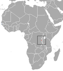 Grauer's Large-headed Shrew area.png