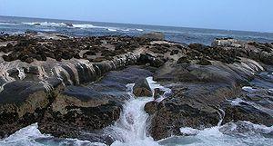 Fur Seals on Duiker Island.JPG
