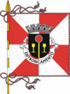 Flag of Entroncamento